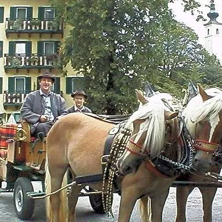 Torrenerhof Hotel Golling an der Salzach