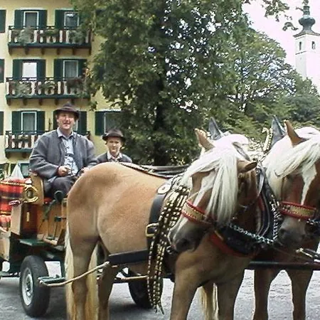 Torrenerhof 3* Golling an der Salzach