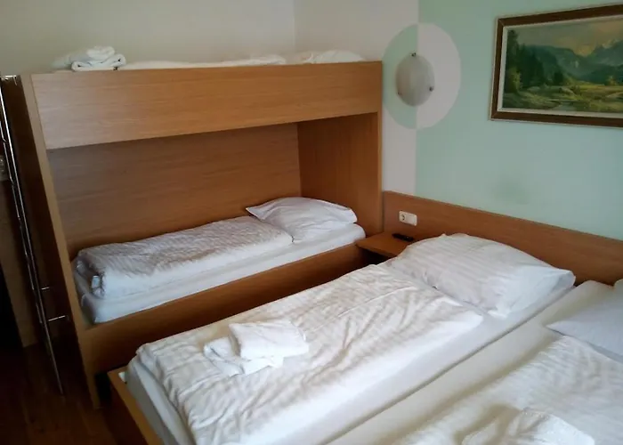 Torrenerhof 3* גולינג אן דר זלצאך